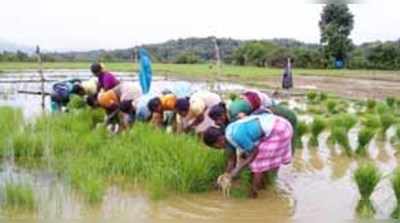 ಬಂಜರು ಭೂಮಿ ಲಕಲಕ