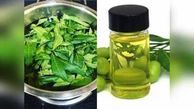 Neem Skin Care: गुणों का खजाना है नीम का तेल, जानें त्‍वचा पर लगाने का फायदा