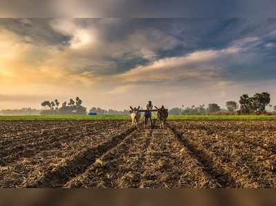 ಕಂಪನಿಯಲ್ಲಿ ಉದ್ಯೋಗಿ, ಗದ್ದೆಯಲ್ಲಿ ಕೃಷಿಕ! ಯುವಜನತೆಗೆ  ಮಾದರಿಯಾದ ಮಂಗಳೂರಿನ ಯುವಕ!