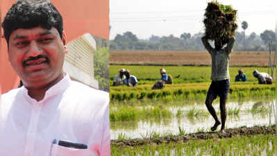 Dhananjay Munde: धनंजय मुंडेंच्या वाढदिवशी बीड जिल्ह्यातील शेतकऱ्यांना खास गिफ्ट