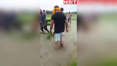 जब भोजपुरी सुपरस्टार खेसारी लाल ने खेत में की धान की रोपाई, Video वायरल