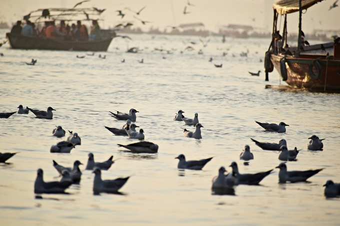 Ganga River