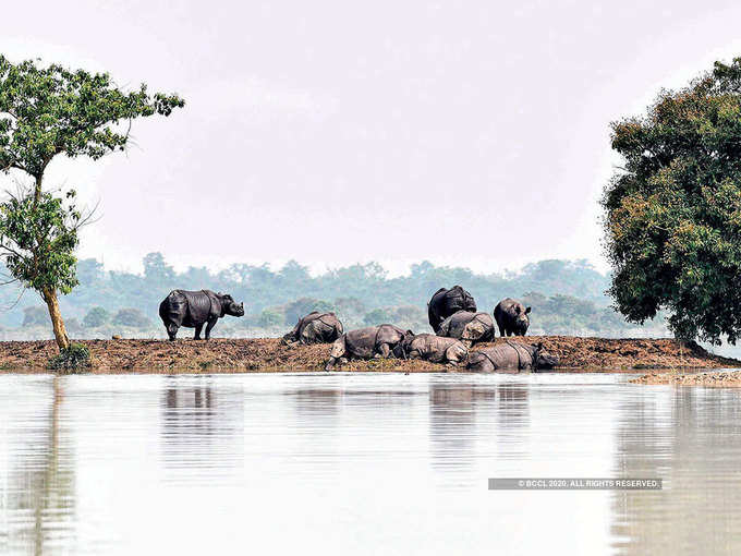 Covid-19 और बाढ़ से जूझ रहा असम