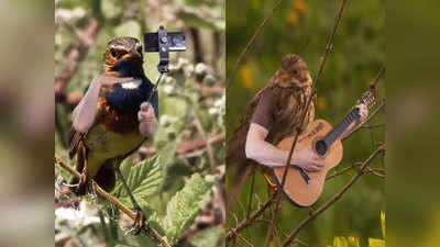 जब पक्षियों के उग आए हाथ, किसी ने खींची सेल्फी तो किसी ने बजाई गिटार!