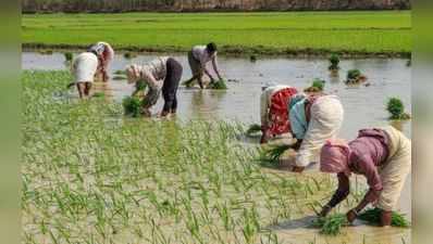 குறுவை சாகுபடி அதிகரிப்பு... விவசாயிகள் மகிழ்ச்சி!