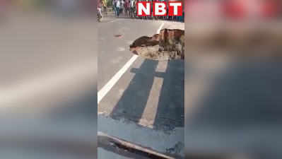 बिहार: कैसे रेत के टीले की ढहा सत्तर घाट पुल का एप्रोच रोड, नया VIDEO वायरल होने से कटघरे में कंस्ट्रक्शन कंपनी