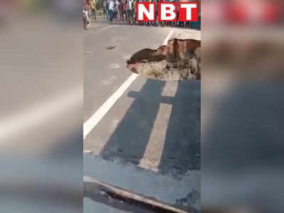 बिहार: कैसे रेत के टीले की ढहा सत्तर घाट पुल का एप्रोच रोड, नया VIDEO वायरल होने से कटघरे में कंस्ट्रक्शन कंपनी 