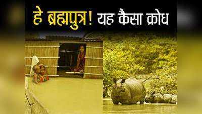 Assam Flood: हे ब्रह्मपुत्र! यह कैसा क्रोध...जान बचाकर भागने को मजबूर जानवर, सड़कों पर बेसुध पड़े गैंडे-हिरण