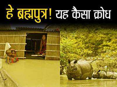 Assam Flood: हे ब्रह्मपुत्र! यह कैसा क्रोध...जान बचाकर भागने को मजबूर जानवर, सड़कों पर बेसुध पड़े गैंडे-हिरण