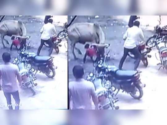 CCTV: કેશોદમાં નોકરી જઈ રહેલા યુવક પર ગાયનો હુમલો, યુવકે જીવ ગુમાવ્યો 