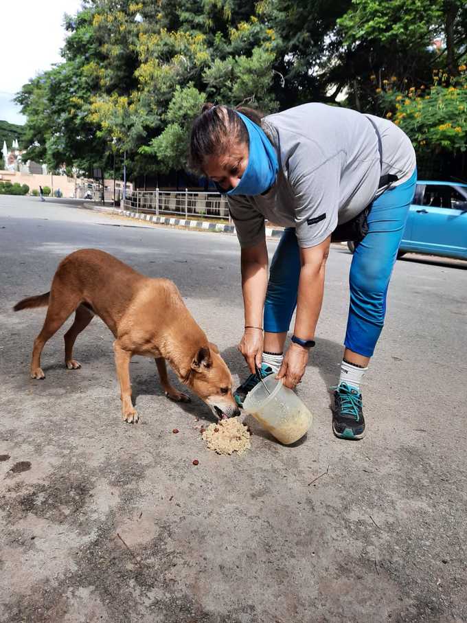 ನಾಯಿಗಳಿಗೆ ಆಹಾರ ನೀಡುತ್ತಿರುವುದು