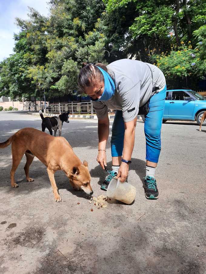 ನಾಯಿಗಳಿಗೆ ಆಹಾರ ನೀಡುತ್ತಿರುವ ಮಾನವೀಯ ಕಾರ್ಯ