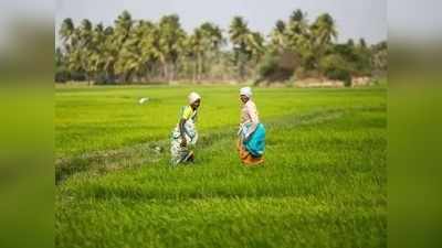 రైతులకు ఇక 10 రోజులే గడువు.. వెంటనే ఈ పథకంలో చేరండి.. లేదంటే..