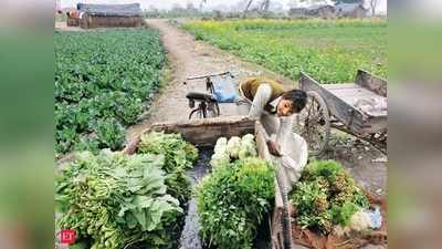 ಮಾರುಕಟ್ಟೆ ಅಗತ್ಯಕ್ಕೆ ತಕ್ಕ ಬೆಳೆ, ರೈತರ ಮನೆ ಬಾಗಿಲಲ್ಲೇ ಖರೀದಿ..! ಕೊರೊನಾ ತಂದ ಬದಲಾವಣೆ..!