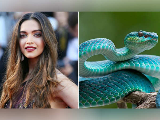 ​दीपिका पादुकोण- Ophidiophobia या सांपों का डर