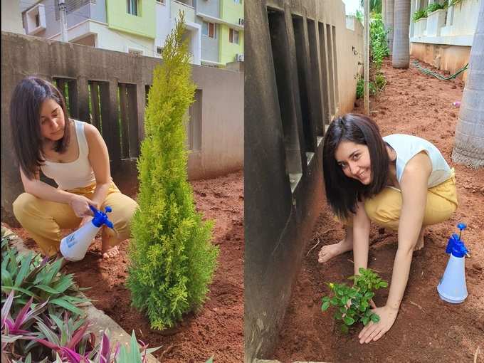 Rashi Khanna Green India Challenge