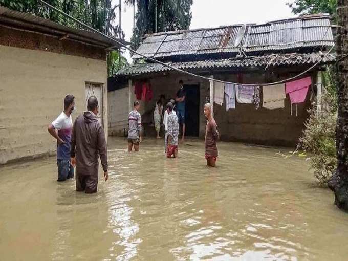 வனவிலங்குகள் பாதிப்பு