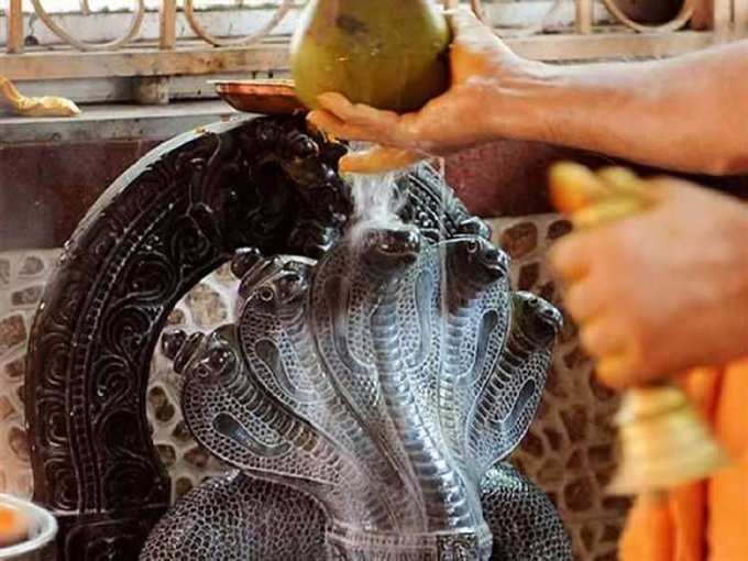 ​नागांबद्दल कृतज्ञता