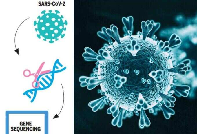 સ્ટેપ 1: સ્પાઈક પ્રોટીનની ઓળખ કરે છે