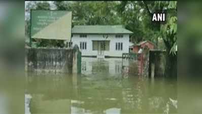 असम बाढ़: 26 लाख प्रभावित, 89 की मौत, खेतों में घुसा पानी और जानवर बेहाल