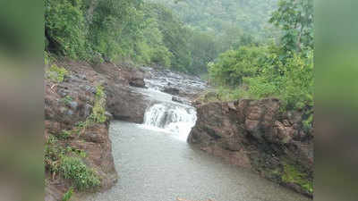 Dharkhora Waterfall सहल बेतली जीवावर; अमरावतीच्या ३ तरुणांचा बुडून मृत्यू