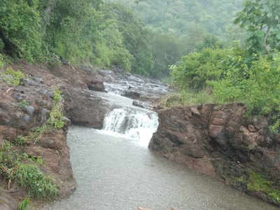 Dharkhora Waterfall सहल बेतली जीवावर; अमरावतीच्या ३ तरुणांचा बुडून मृत्यू