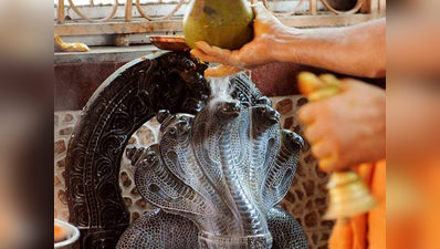 ಸಿಎಂ ಸೇರಿ ಗಣ್ಯರಿಂದ ನಾಗರ ಪಂಚಮಿ ಶುಭಾಶಯ, ಸುರಕ್ಷತಾ ನಿಯಮ ಪಾಲಿಸಲು ಮನವಿ