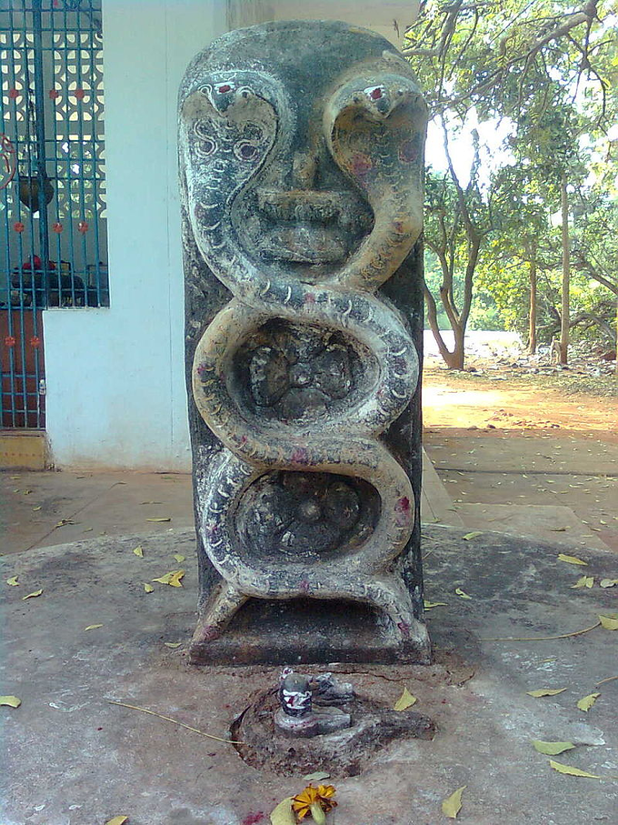 Naga Puja