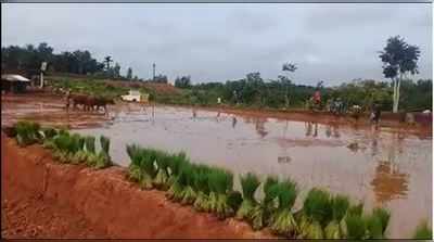 ಬರಡು ಭೂಮಿಯಲ್ಲಿ ಬಂಗಾರದ ಬೆಳೆ ತೆಗೆಯಲು ಹೊರಟ ಕರಾವಳಿಯ ಕೃಷಿಕ..!