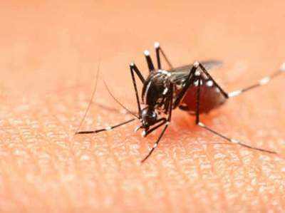 दिल्ली में मॉनसून के साथ अब डेंग्यू, चिकनगुनिया ने भी दी दस्तक