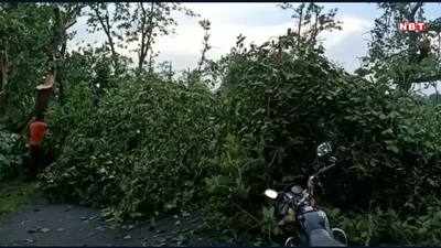 MP: होशंगाबाद में आया खौफनाक तूफान, चंद मिनटों में उखाड़ दिए सैकड़ों पेड़