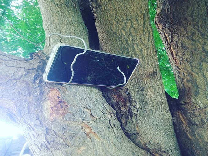 पेड़ को मोबाइल स्टैंड