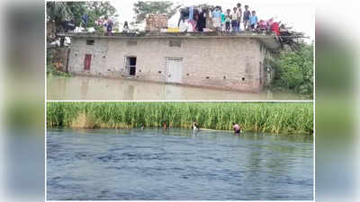 Bihar Flood Updates: कहीं पानी से घिरे घर में बच्चे लगा रहे गुहार तो कहीं अन्नदाताओं की मेहनत निगल रहा बाढ़