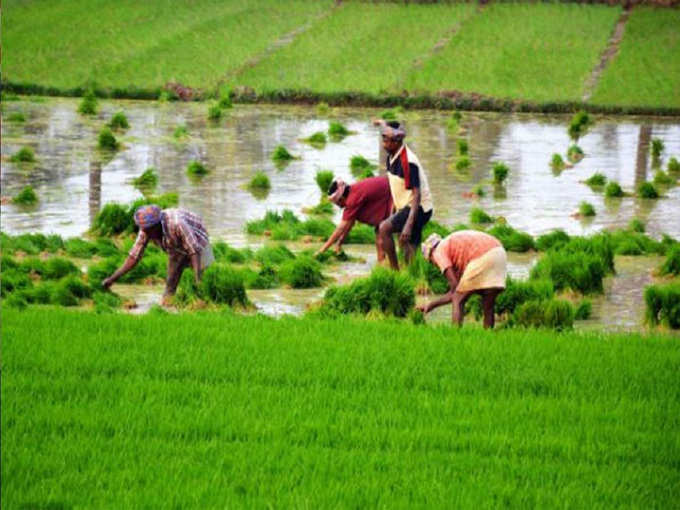 केवल किसानों को मिलता है लोन