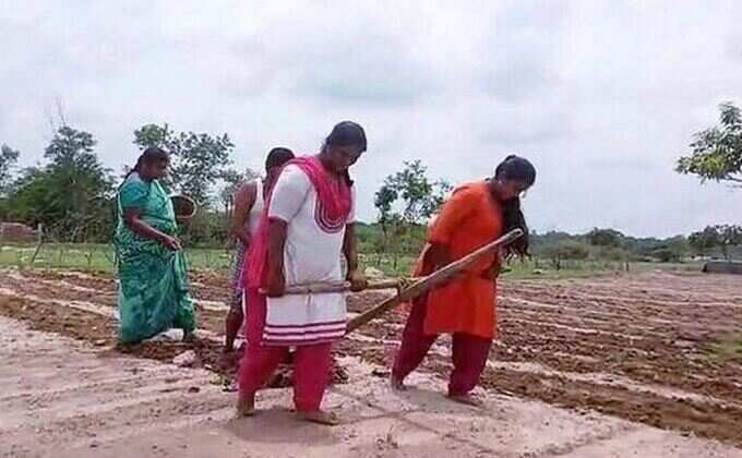 વીડિયો વાયરલ થયો હતો