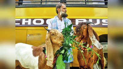Ahmedabad News: सूरत-अहमदाबाद में बकरीद पर सार्वजनिक कुरबानी पर प्रतिबंध, अधिसूचना जारी