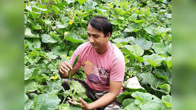 Noida Corona News: लॉकडाउन में बंद हुआ कॉलेज तो प्रफेसर ने शुरू कर दी बागवानी