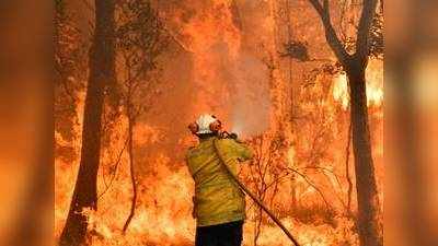 ഓസ്ട്രേലിയൻ കാട്ടുതീയിൽ ഇല്ലാതായത് 300 കോടി വന്യജീവികൾ; ഭൂമിയിലെ വലിയ ദുരന്തങ്ങളിൽ ഒന്ന്