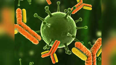 Coronavirus इन्फेक्शन पर शरीर की गलत प्रतिक्रिया भी पड़ सकती है भारी: स्टडी