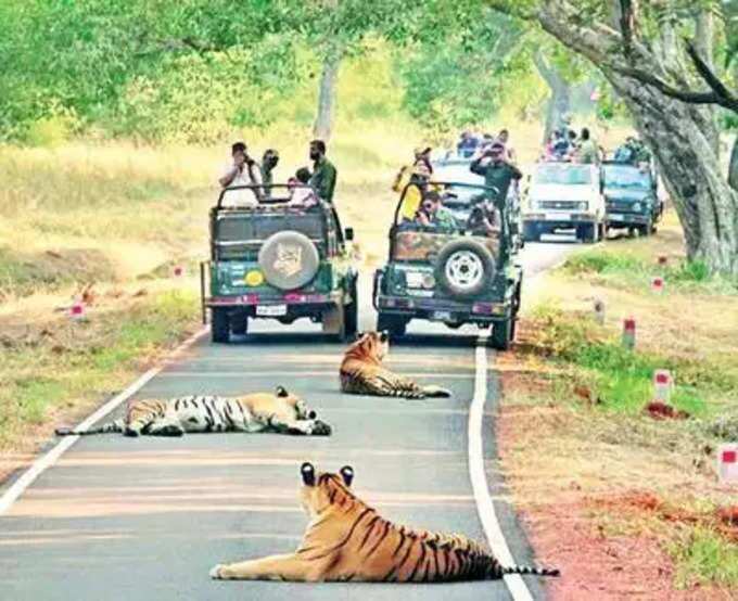 തഡോബ ദേശീയോദ്യാനം, മഹാരാഷ്ട്ര