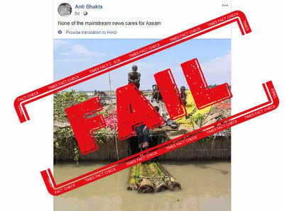 fake alert: बिहार आणि आसाममधील पुराच्या नावाने बांगलादेशचा जुना फोटो होतोय व्हायरल