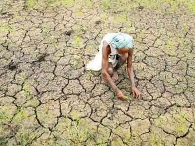 சொட்டு நீர் பாசனத்திற்கு இப்படியொரு சூப்பர் ஐடியா - விவசாயிக்கு குவியும் பாராட்டு!