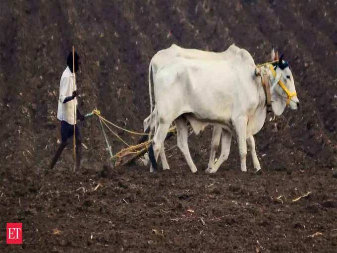 कैसे करा सकते हैं बीमा