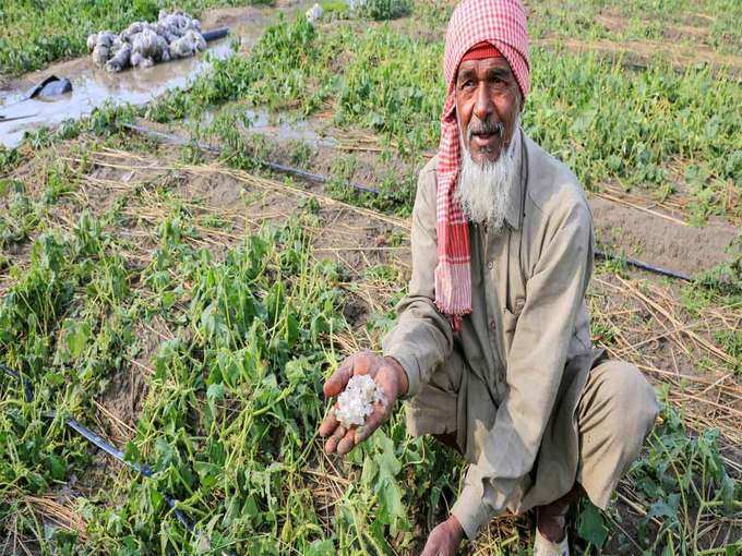 फसल बीमा का क्लेम कैसे करें