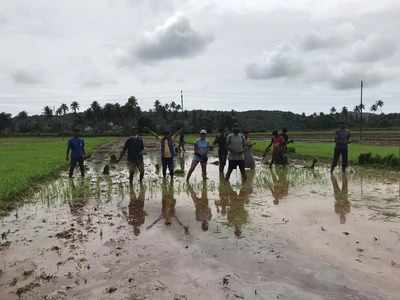 ಕೊರೊನಾ ವೈರಸ್‌ ಭೀತಿ: ಬೆಂಗಳೂರು ಬಿಟ್ಟು ಬಂದೋರ ಕೈಹಿಡಿಯಿತು ಬೇಸಾಯ