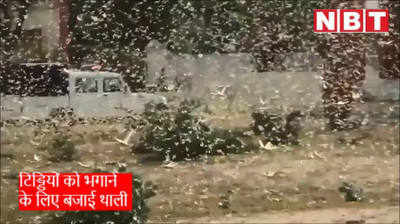 Locust Video: टिड्डियों के आंतक  के चलते हथियार उठाने वाली  पुलिस को बजानी पड़ी थाली