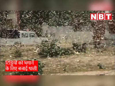 Locust Video: टिड्डियों के आंतक  के चलते हथियार उठाने वाली  पुलिस को बजानी पड़ी थाली