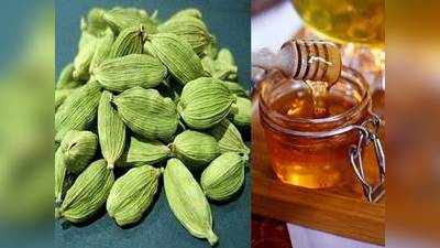 Cardamom And Honey Benefits : शहद के साथ करें इलायची का सेवन, मजबूत होगी इम्युनिटी मिलेंगे और भी फायदे