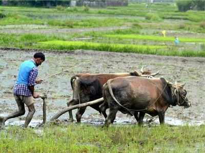 விவசாய நிதியுதவியை அரசிடம் பெறுவது எப்படி?