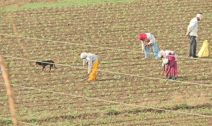 જુનમાં ધોધમાર વરસાદ પડ્યો હતો